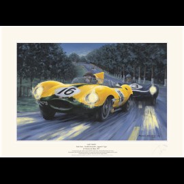 Poster Jaguar Type D n° 16 & n° 3 24h Le Mans 1957 " Cat fight " by Benoît Deliège