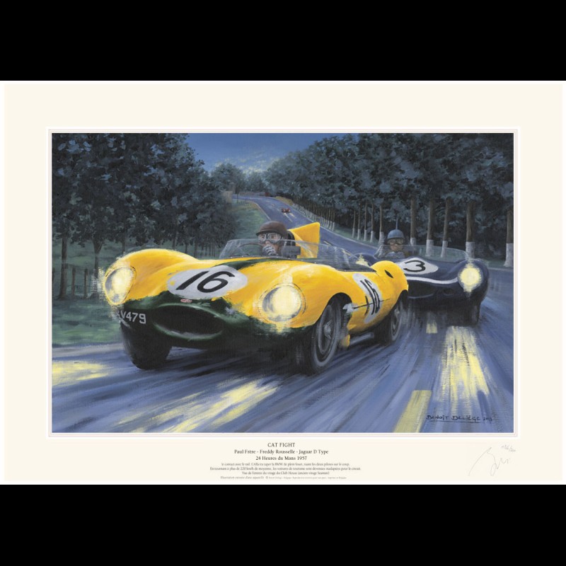 Poster Jaguar Type D n° 16 & n° 3 24h Le Mans 1957 " Cat fight " by Benoît Deliège