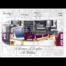 Jaguar XJR-9 n° 2 24h Le Mans 1988﻿ Tom Walkinshaw original drawing by Sébastien Sauvadet