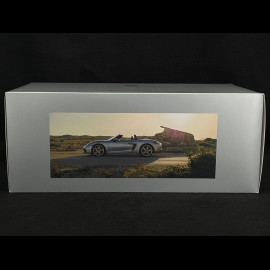 Porsche 718 Boxster Type 982 25 Jahre Edition GT Silber 1/18 Spark WAP0212020NB25