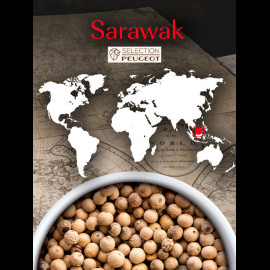 Peugeot White Pepper from Malaysia Sarawak 4 x 20 g
