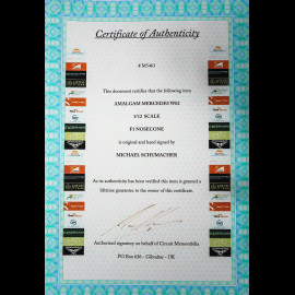 ULTRA RARE - Handsigniert Michael Schumacher Mercedes W02 Nose Cone F1 1/12 Amalgam