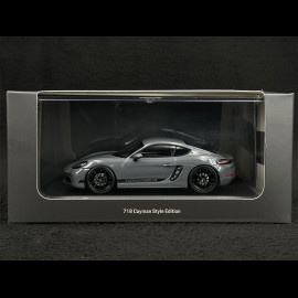 Porsche 718 Cayman Typ 982 Style Edition 2022 Arktischesgrau 1/43 Minichamps WAP0204180RCAY