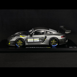 Porsche 911 GT2 RS Clubsport 25 Typ 991.2 2021 Mattgrau / Grello touch 1/18 Spark WAP0211510PGT2