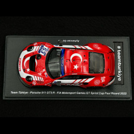 Porsche 911 GT3 R Type 991 n° 53 5. FIA Motorsport Games Paul Ricard 2022 1/43 Spark S6326