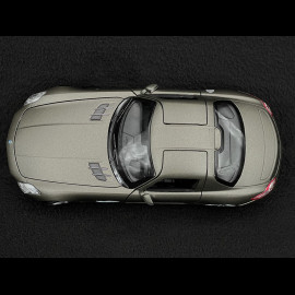 Mercedes-Benz SLS AMG 2009 Graphite Grey 1/24 Welly B66057361