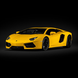 Lamborghini Aventador LP700-4 Kit 1/8 Yellow Giallo Orion Pocher HK119