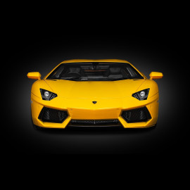 Lamborghini Aventador LP700-4 Kit 1/8 Yellow Giallo Orion Pocher HK119