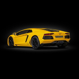 Lamborghini Aventador LP700-4 Kit 1/8 Yellow Giallo Orion Pocher HK119