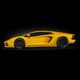 Lamborghini Aventador LP700-4 Kit 1/8 Yellow Giallo Orion Pocher HK119