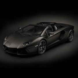 Lamborghini Aventador LP700-4 Modellbau 1/8 Matte Schwarz Nero Nemesis Pocher HK121