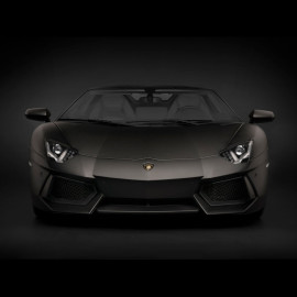 Lamborghini Aventador LP700-4 Modellbau 1/8 Matte Schwarz Nero Nemesis Pocher HK121