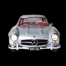 Kit Mercedes 300 SL Type W198 Butterfly Doors 1955 Silver Grey 1/8 Ixo Models 520010112