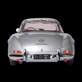 Kit Mercedes 300 SL Type W198 Butterfly Doors 1955 Silver Grey 1/8 Ixo Models 520010112