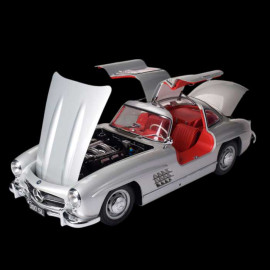 Kit Mercedes 300 SL Type W198 Butterfly Doors 1955 Silver Grey 1/8 Ixo Models 520010112