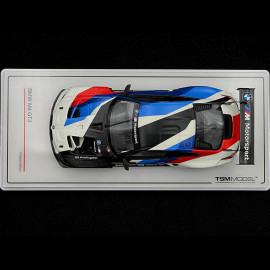 BMW M4 GT3 Präsentation 1/43 TrueScale Models TSM430578