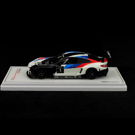 BMW M4 GT3 Präsentation 1/43 TrueScale Models TSM430578