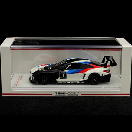 BMW M4 GT3 Präsentation 1/43 TrueScale Models TSM430578