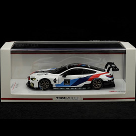 BMW M8 GTE n° 1 Präsentation 2018 1/43 TrueScale Models TSM430429