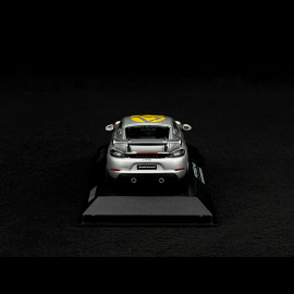 Porsche 718 Cayman GT4 RS Type 982 Panamericana n° 152 2023 Silber 1/43 Spark WAP0204120SCAY