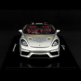 Porsche 718 Spyder RS Type 982 Panamericana n° 55 2023 Silber 1/18 Spark WAP0212160SSPY