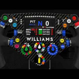 Williams Steering Wheel FW46 2024 F1 1/2 HC Models HC202701