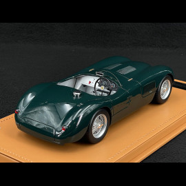 Jaguar Type C Spider 1953 Presentation British Racing Green 1/18 Tecnomodel TM18-290A