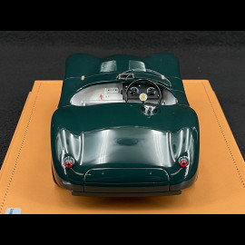 Jaguar Type C Spider 1953 Presentation British Racinggrün 1/18 Tecnomodel TM18-290A