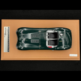 Jaguar Type C Spider 1953 Presentation British Racing Green 1/18 Tecnomodel TM18-290A