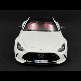 Mercedes-Benz AMG GT 63 4Matic - Opalitweiß Magno - 1:18 NZG 1034/41