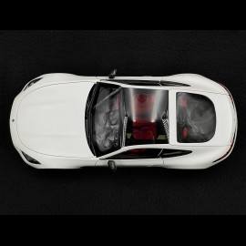 Mercedes-Benz AMG GT 63 4Matic - Opalitweiß Magno - 1:18 NZG 1034/41