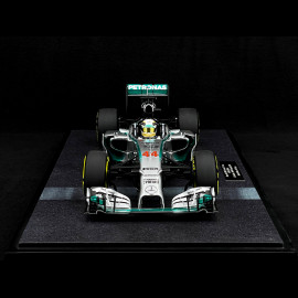 Lewis Hamilton Mercedes AMG F1 W05 Hybrid n°44 World Champion 2014 1/12 Minichamps 127140444
