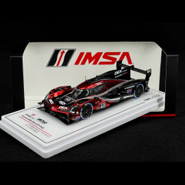 ACURA ARX-06 GTP N°40 Wayne Taylor Racing Winner 12H Sebring 2024 1/43 Truescale TSM430820