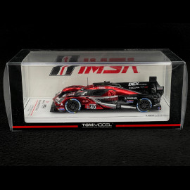 ACURA ARX-06 GTP N°40 Wayne Taylor Racing Winner 12H Sebring 2024 1/43 Truescale TSM430820
