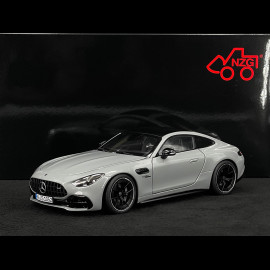 Mercedes-AMG GT 43 2024 Alpengrau 1/18 NZG 105200059 1052/59
