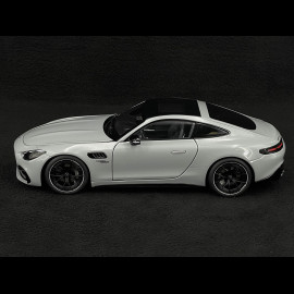 Mercedes-AMG GT 43 2024 Alpengrau 1/18 NZG 105200059 1052/59