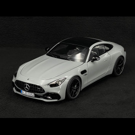 Mercedes-AMG GT 43 2024 Alpengrau 1/18 NZG 105200059 1052/59