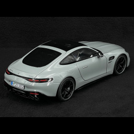Mercedes-AMG GT 43 2024 Alpengrau 1/18 NZG 105200059 1052/59