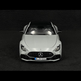 Mercedes-AMG GT 43 2024 Alpengrau 1/18 NZG 105200059 1052/59