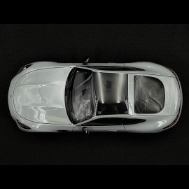Mercedes-AMG GT 43 2024 Alpengrau 1/18 NZG 105200059 1052/59