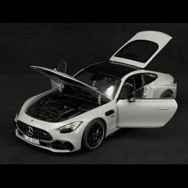 Mercedes-AMG GT 43 2024 Alpengrau 1/18 NZG 105200059 1052/59