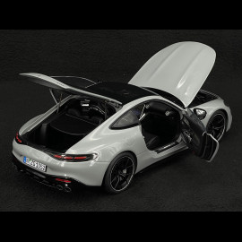 Mercedes-AMG GT 43 2024 Alpengrau 1/18 NZG 105200059 1052/59