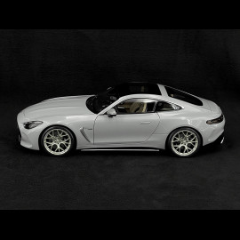 Mercedes-AMG GT 63 2024 Alpengrau 1/12 NZG 103310052 10331/52
