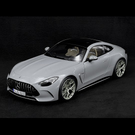 Mercedes-AMG GT 63 2024 Alpengrau 1/12 NZG 103310052 10331/52