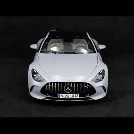 Mercedes-AMG GT 63 2024 Alpengrau 1/12 NZG 103310052 10331/52
