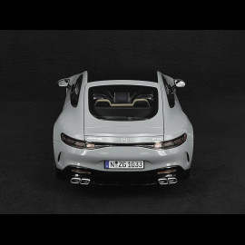 Mercedes-AMG GT 63 2024 Alpengrau 1/12 NZG 103310052 10331/52