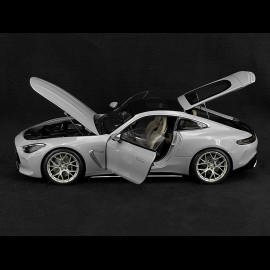 Mercedes-AMG GT 63 2024 Alpengrau 1/12 NZG 103310052 10331/52