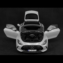 Mercedes-AMG GT 63 2024 Alpengrau 1/12 NZG 103310052 10331/52