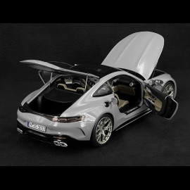 Mercedes-AMG GT 63 2024 Alpingrey 1/12 NZG 103310052 10331/52