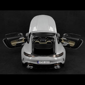 Mercedes-AMG GT 63 2024 Alpengrau 1/12 NZG 103310052 10331/52